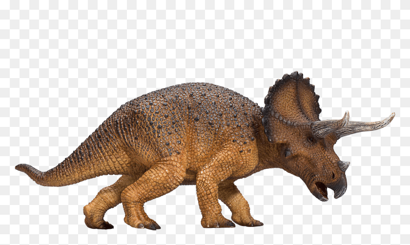 1903x1080 Prehistoric Amp Extinct Triceratops, Dinosaur, Reptile, Animal HD PNG Download