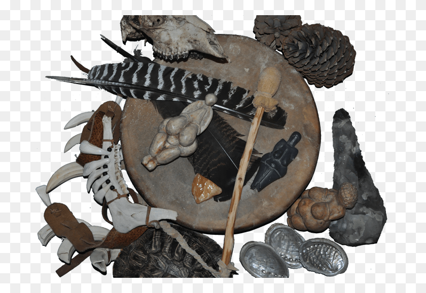 700x519 Prehistoric Shaman Kit Carving, Lobster, Seafood, Sea Life HD PNG Download
