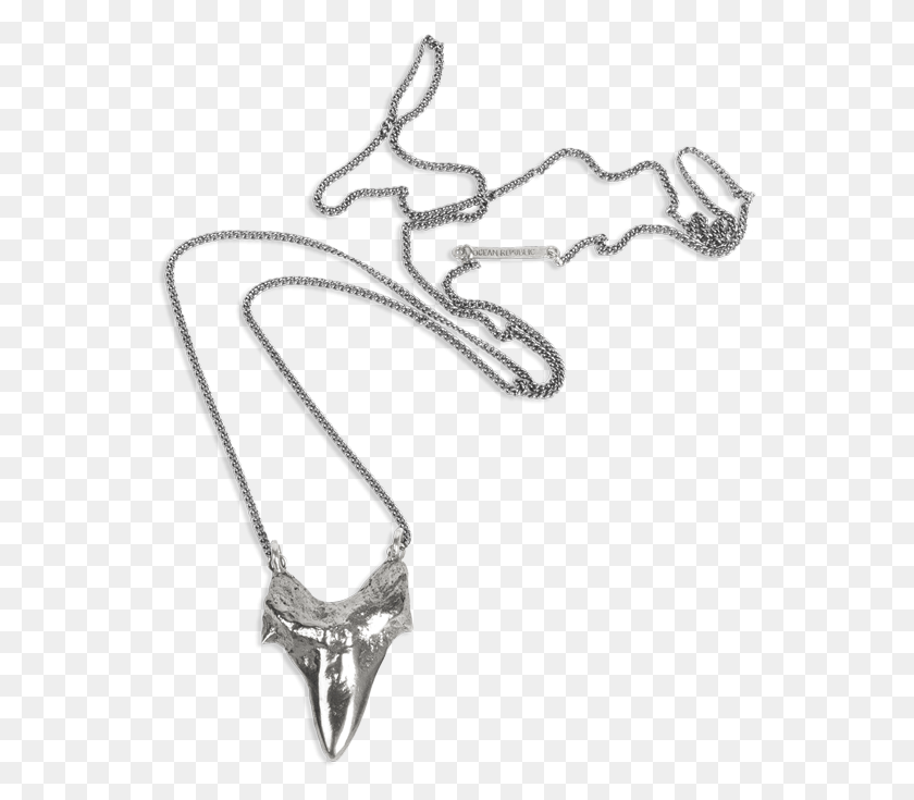 551x675 Prehistoric Shark Tooth Necklace Sketch, Accessories, Accessory, Diamond HD PNG Download