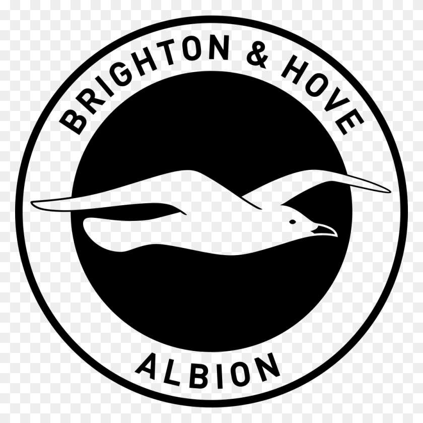 1000x1000 Premier League Brighton Amp Hove Albion Logo, Outdoors, Gray, Text HD PNG Download