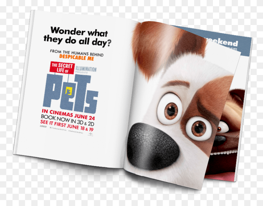 782x601 Press Materials Secret Life Of Pets, Advertisement, Poster, Flyer HD PNG Download