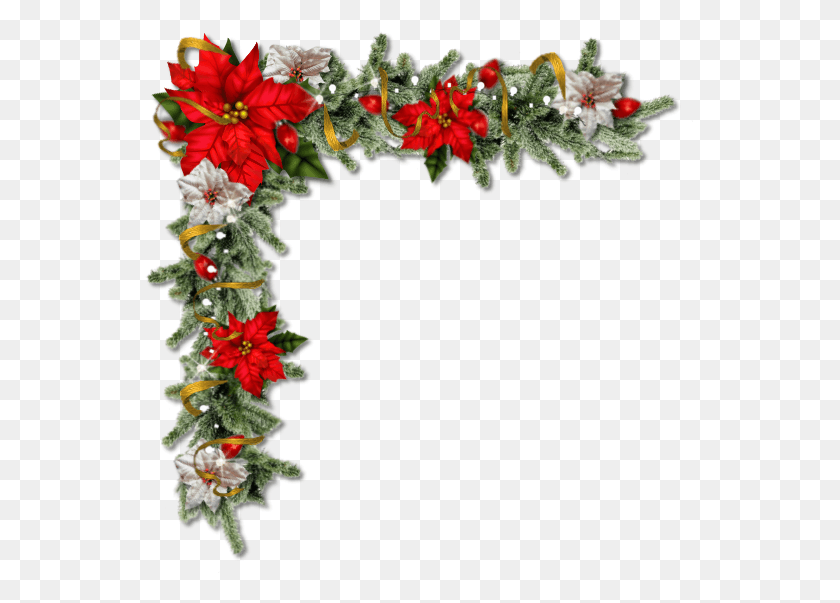 552x543 Pretty Christmas Floral Corner With Poinsettia39s In Corner Christmas Design, Plant, Wreath, Flower HD PNG Download