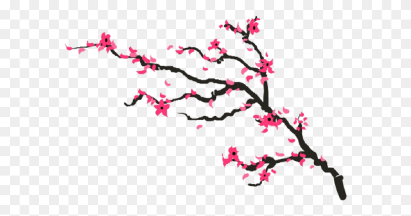 580x383 Pretty Clipart Cherry Blossom Tree Cherry Blossom Branch, Plant, Flower, Blossom HD PNG Download