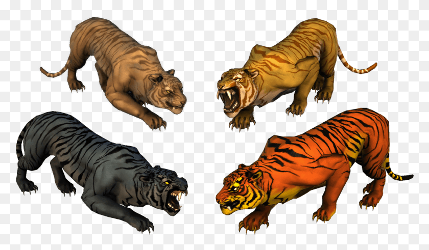 1330x735 Preview Large Companion Tiger Chult Neverwinter Chultan Tiger Companion, Wildlife, Mammal, Animal HD PNG Download