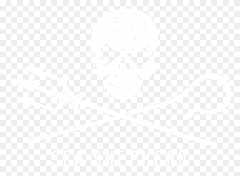 1500x1068 Descargar Png Jolly Roger Sea Shepherd, Emblema, Símbolo, Arma Hd Png