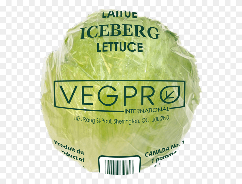 568x579 Previous Next Iceburg Lettuce, Plant, Head Cabbage, Cabbage HD PNG Download