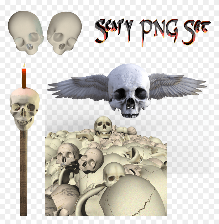 1566x1601 Previous Next Skull, Bird, Animal, Head HD PNG Download