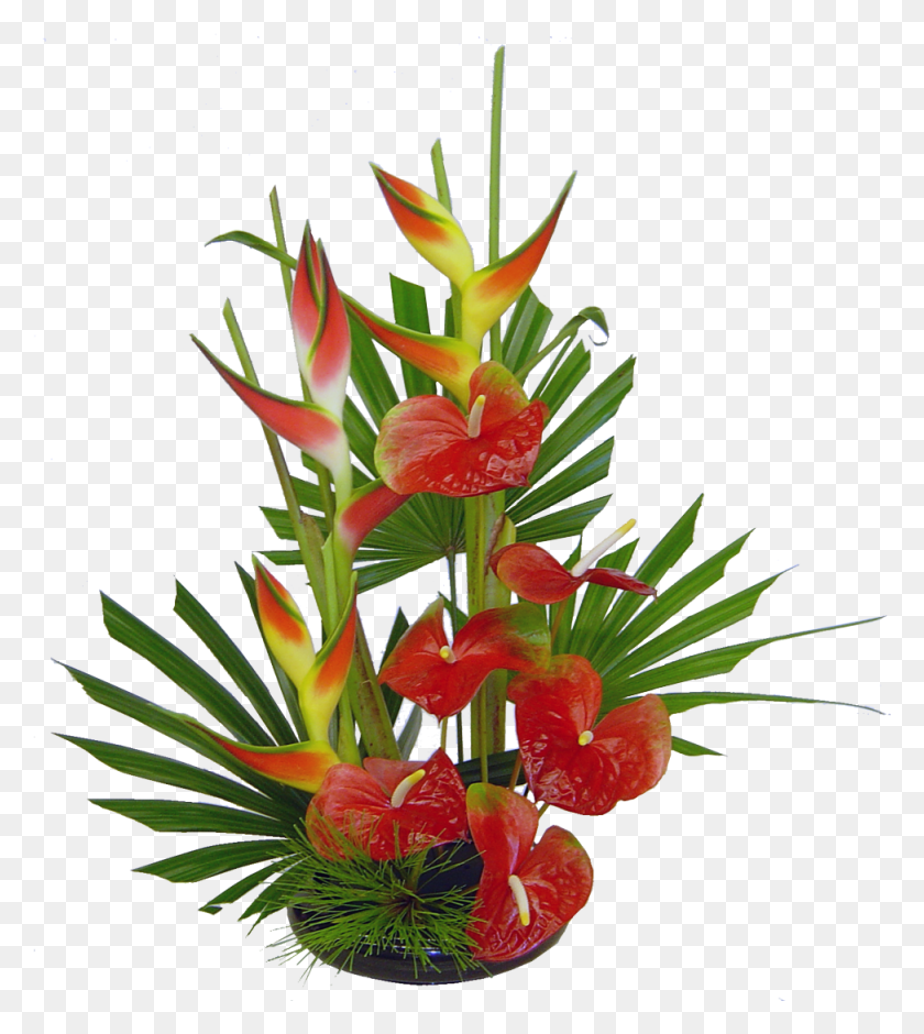 974x1099 Previous Next Tropical Flower Arrangement, Plant, Ikebana HD PNG Download