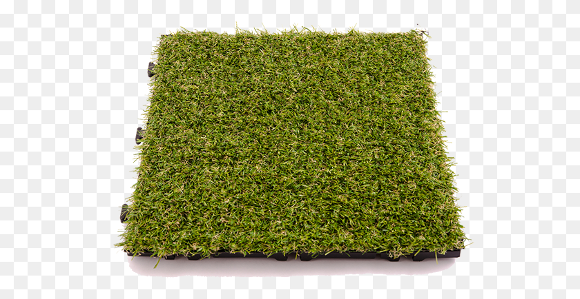 535x374 Previousnext Hedge, Plant, Fence, Rug HD PNG Download