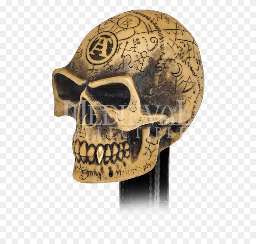 502x738 Price Match Policy Hlavice Adc Pky Lebka, Jaw, Head, Archaeology HD PNG Download
