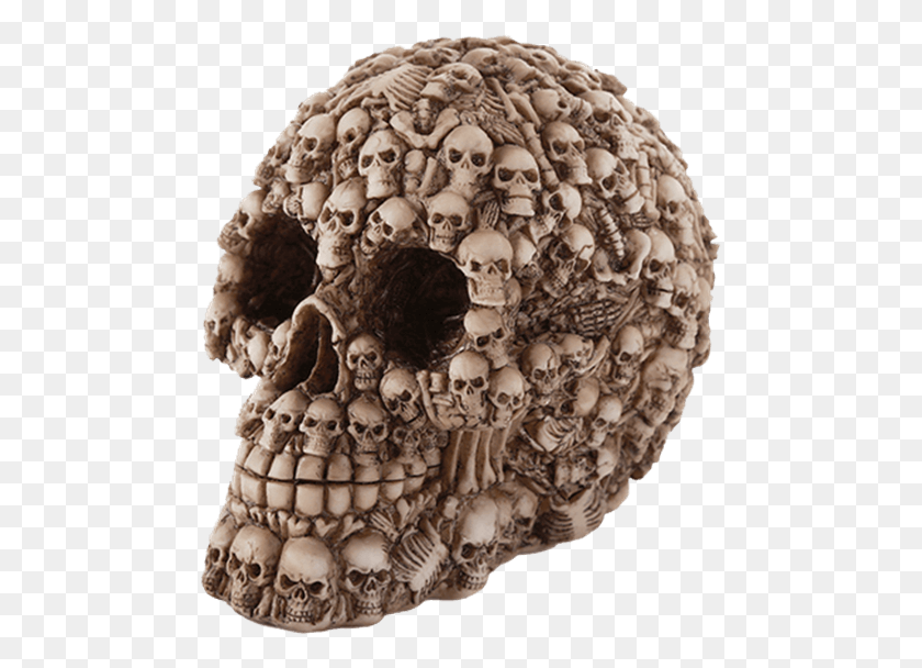 475x548 Price Match Policy Skull, Archaeology, Soil, Rug HD PNG Download
