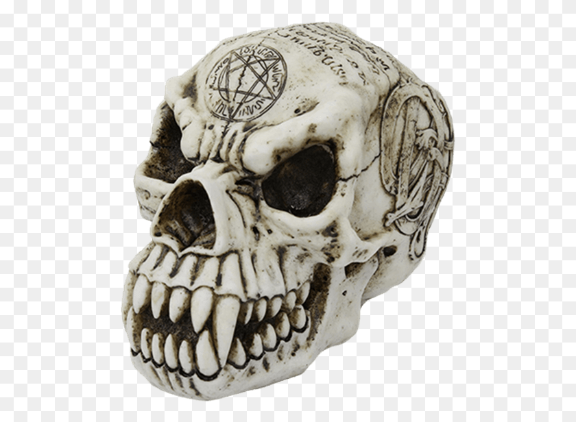 490x556 Descargar Png / Cráneo De Hombre Lobo Png