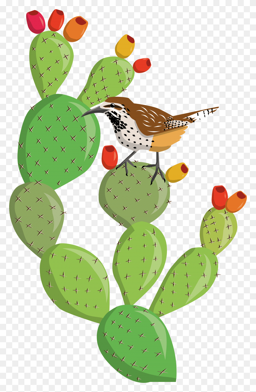 3840x6021 Prickly Pear Cactus Clip Art Library Huge Eastern Prickly Pear, Plant, Bird, Animal HD PNG Download