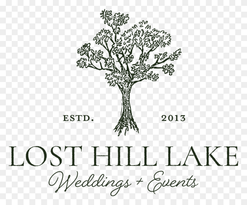 1000x821 Primary Logo Forest 2large Lost Hill Lake Events, Plant, Tree, Root HD PNG Download