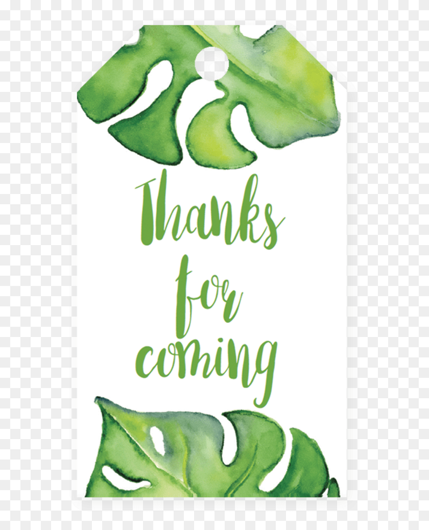 581x978 Printable Banana Leaf Favor Tag Template By Littlesizzle Free Printable Green Thank You Tags, Plant, Aloe, Text HD PNG Download