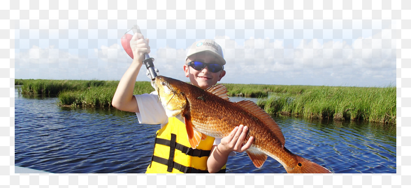 1200x502 Printable Version Louisiana Fishing, Sunglasses, Accessories, Accessory HD PNG Download