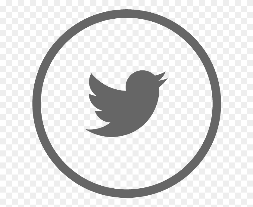628x628 Политика Конфиденциальности Twitter Ads Logo, Symbol, Trademark, Animal Hd Png Download