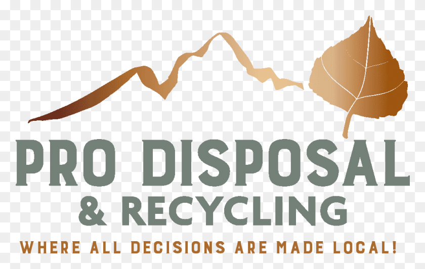 995x603 Pro Disposal Amp Recycling Poster, Advertisement, Text, Label HD PNG Download