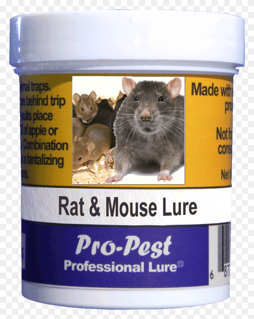 908x1158 Descargar Png Pro Pest Rat Amp Mouse Señuelo Prof 4 Oz Tarros 10Ct Marmota, Roedor, Mamífero, Animal Hd Png