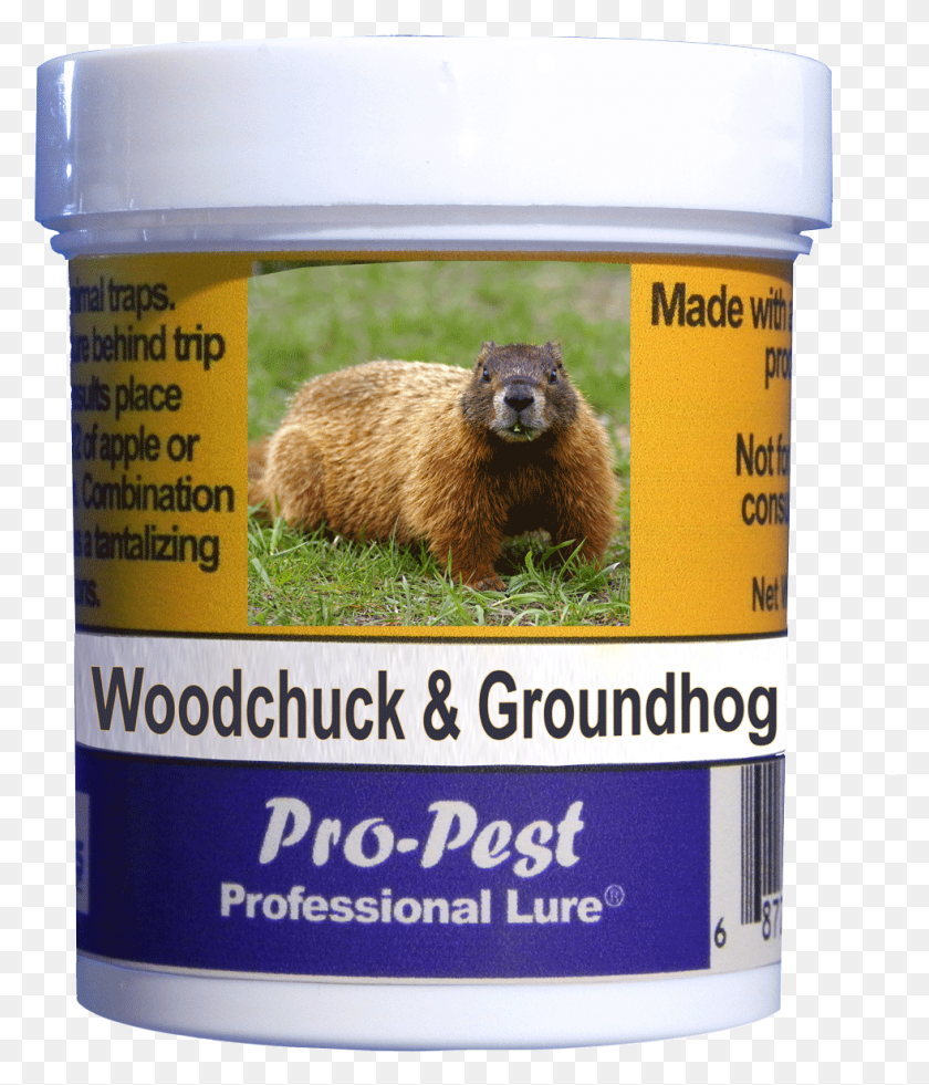 981x1159 Pro Pest Woodchuckgroundhog Lure Prof 4 Oz Jars 10ct Squirrel, Bear, Wildlife, Mammal HD PNG Download