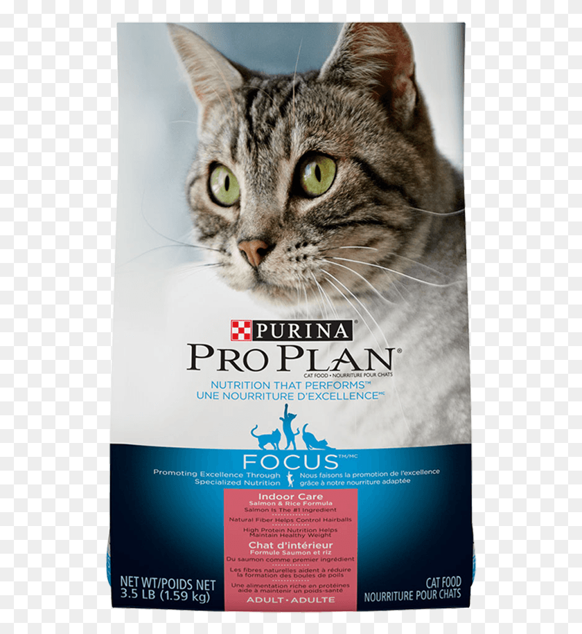 537x856 Pro Plan Focus Уход За Кошкой В ​​Помещении Лосось Рис Purina Pro Plan Корм ​​Для Кошек В Помещении, Домашнее Животное, Млекопитающее, Животное Hd Png Скачать