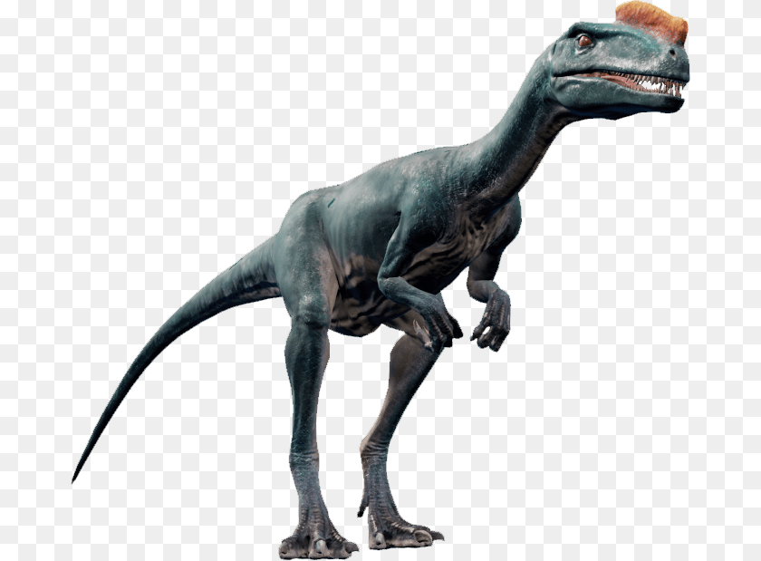 684x619 Proceratosaurus Jurassic World Evolution, Animal, Dinosaur, Reptile, T-rex Transparent PNG