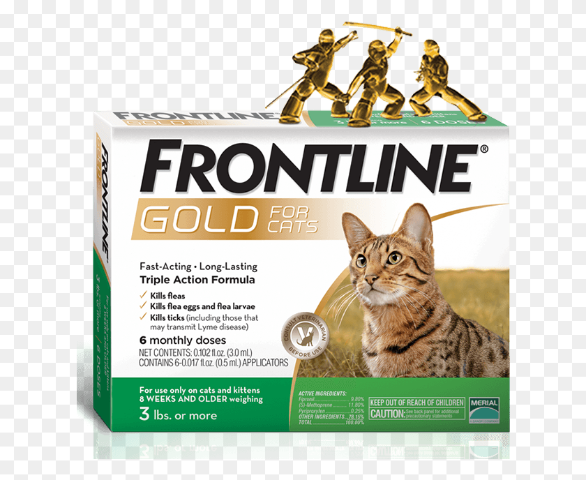 622x628 Product Box For Cats Frontline Gold For Dogs, Cat, Pet, Mammal HD PNG Download