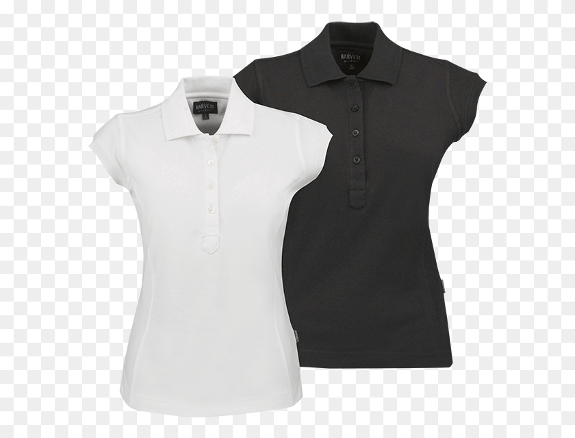 584x579 Product Description Polo Shirt, Clothing, Apparel, Shirt HD PNG Download