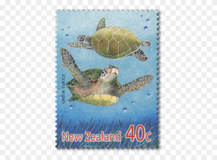 421x559 Product Listing For 2001 Year Of The Snake Kemp39s Ridley Sea Turtle, Turtle, Reptile, Sea Life HD PNG Download