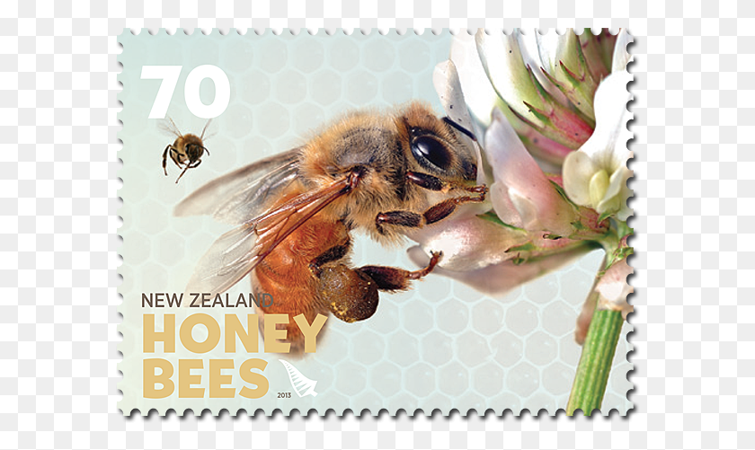 584x441 Product Listing For Honey Bees Bee Postage Stamps, Honey Bee, Insect, Invertebrate HD PNG Download