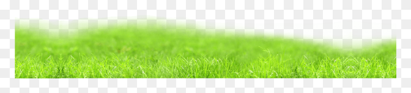 1921x324 Productivity In Gap Regions Lawn, Grass, Plant, Outdoors HD PNG Download