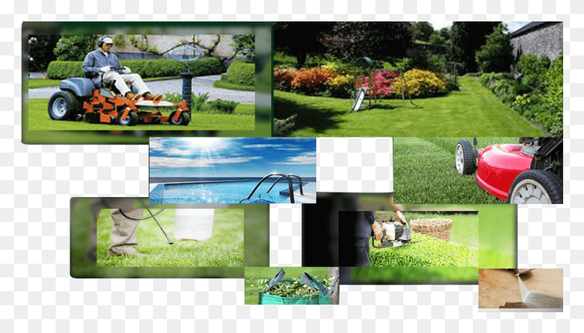 929x501 Professional Lawn And Garden Care Provider Brisbane Lawn, Grass, Plant, Collage HD PNG Download