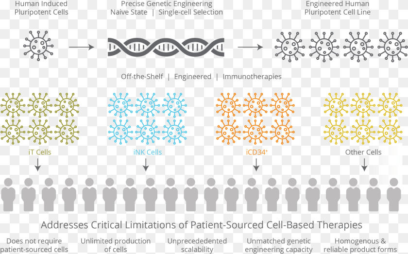 2411x1501 Programming Cell Fate Product, Nature, Outdoors, Pattern, Art PNG