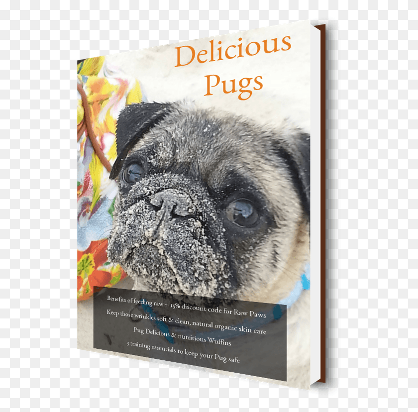 535x768 Project 100539 Cover 3d Pug, Canine, Mammal, Animal HD PNG Download