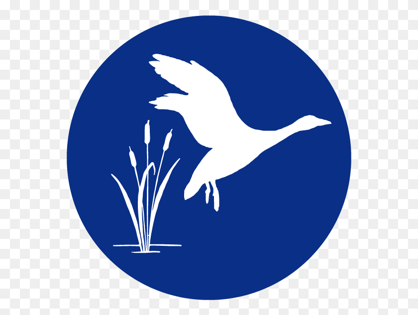 573x573 Иллюстрация Логотипа Project Angel Food, Птица, Животное, Сфера Hd Png Скачать
