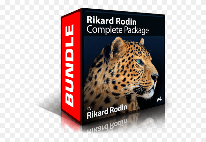 570x518 Project Based Courses That Teaches You The Techniques African Leopard, Panther, Wildlife, Mammal HD PNG Download