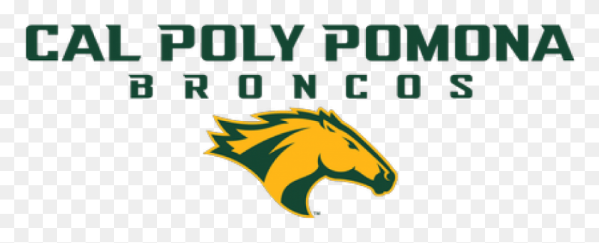 872x315 Project Manager Matt Timmers Speaks To Chi Epsilon Cal Poly Pomona Logo, Animal, Mammal, Wildlife HD PNG Download