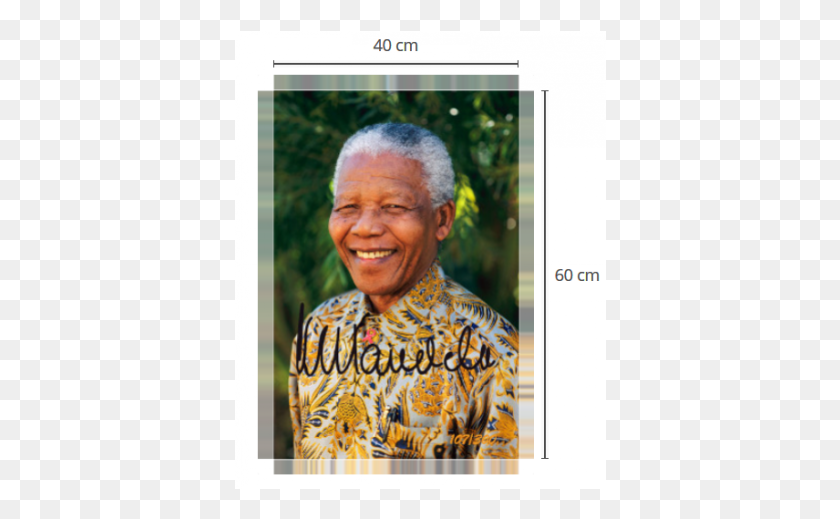 372x459 Promi Stuff Nelson Mandela Madiba Shirt, Face, Person, Human HD PNG Download