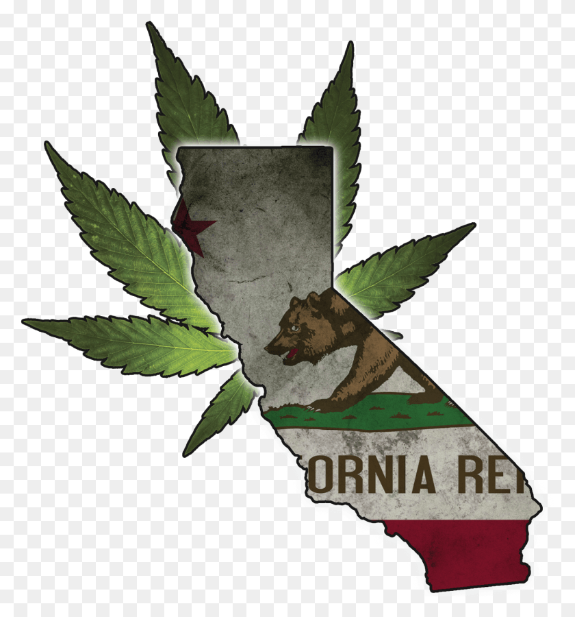 1467x1580 Предложение 64 Легализует Рекреационную Марихуану В Форме Штата Калифорния С Флагом, Листом, Растением, Сорняком Png Скачать