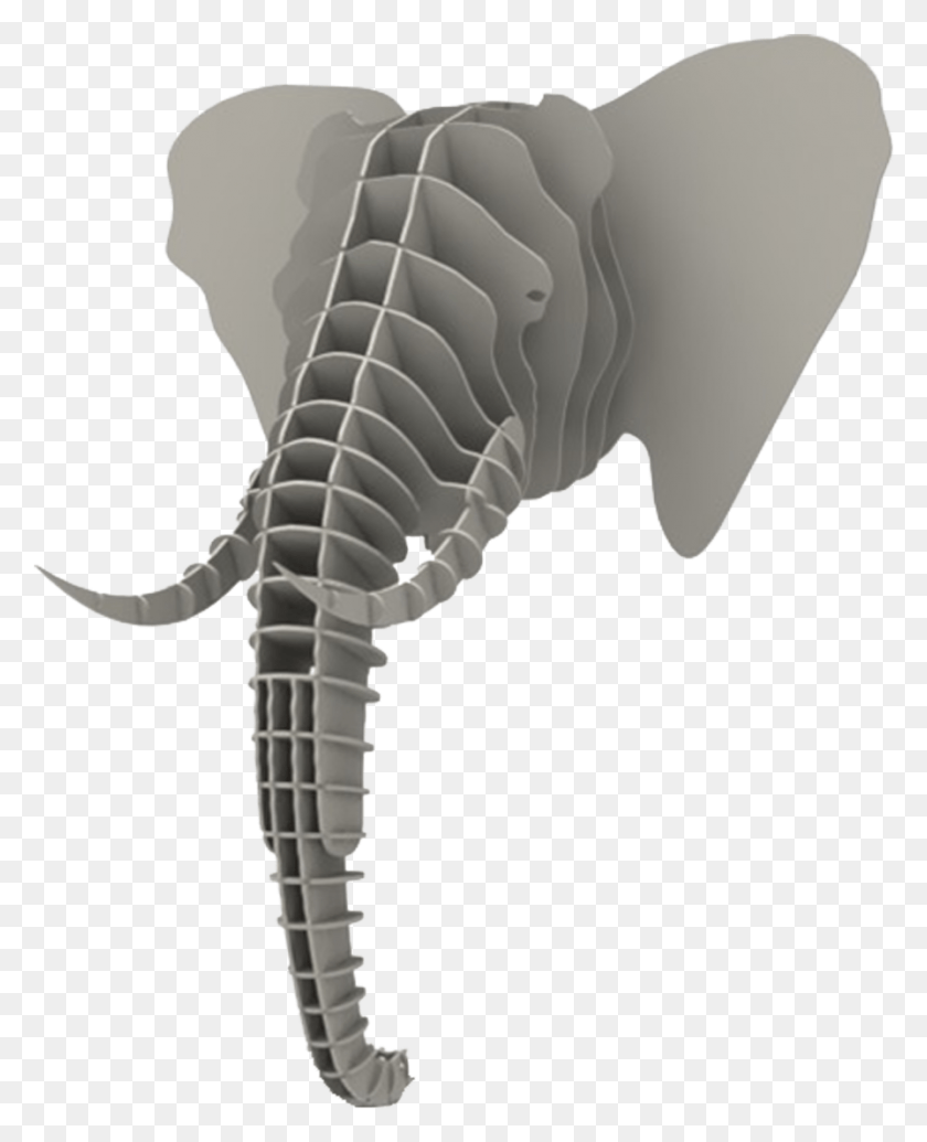 895x1119 Просмотр Изображения 9Gi1C Голова Слона 3D, Ископаемое, Животное, Почва Hd Png Скачать