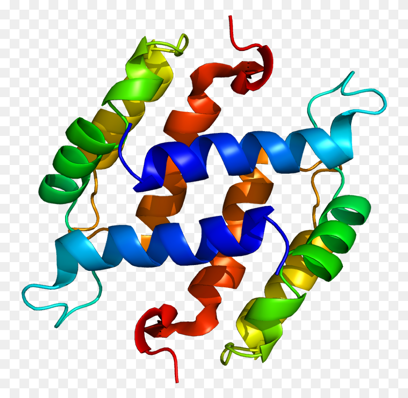 754x760 Pastel De Cumpleaños Png / Proteína Hd Png