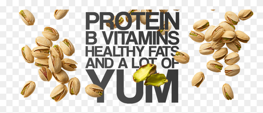 959x372 Protein B Vitamins Healthy Fats And A Lot Of Tum Pistachio, Plant, Flower, Blossom HD PNG Download