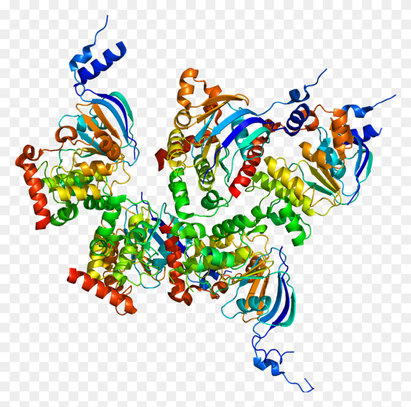 934x925 Protein Cftr Pdb 1xmi Cystic Fibrosis Protein, Pattern, Ornament, Fractal HD PNG Download