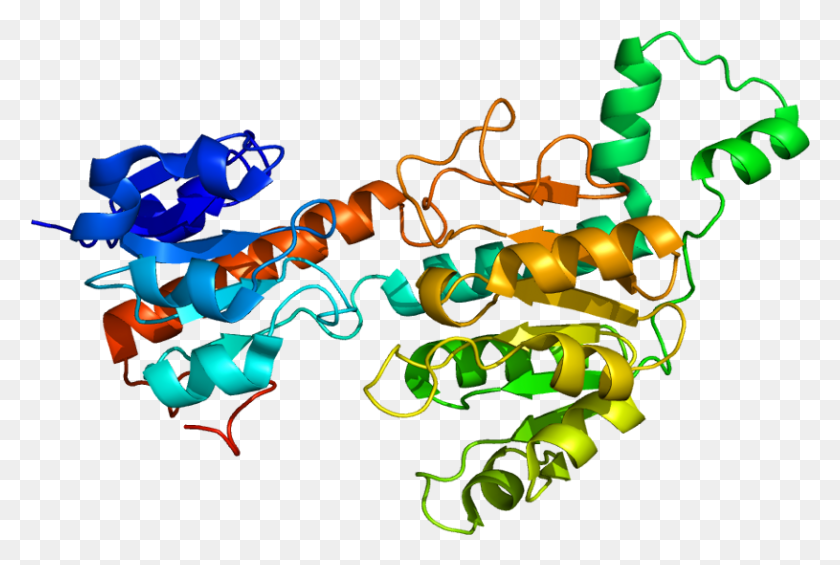 815x528 Protein Ctbp1 Pdb 1hku Ctbp Protein Structure, Neon, Light, Graphics HD PNG Download