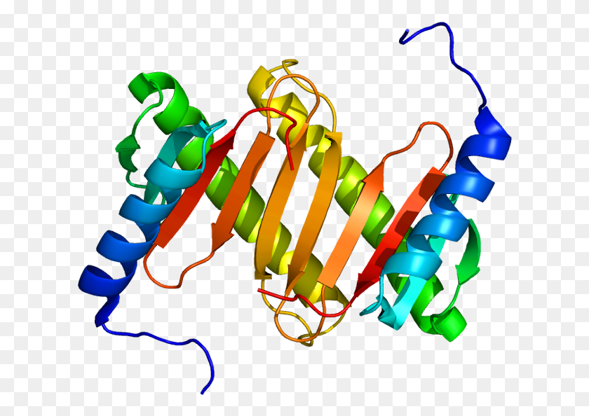 620x534 Протеин Dynlrb1 Pdb 1Y4O Иллюстрация, Свет, Неон, Динамит Png Скачать