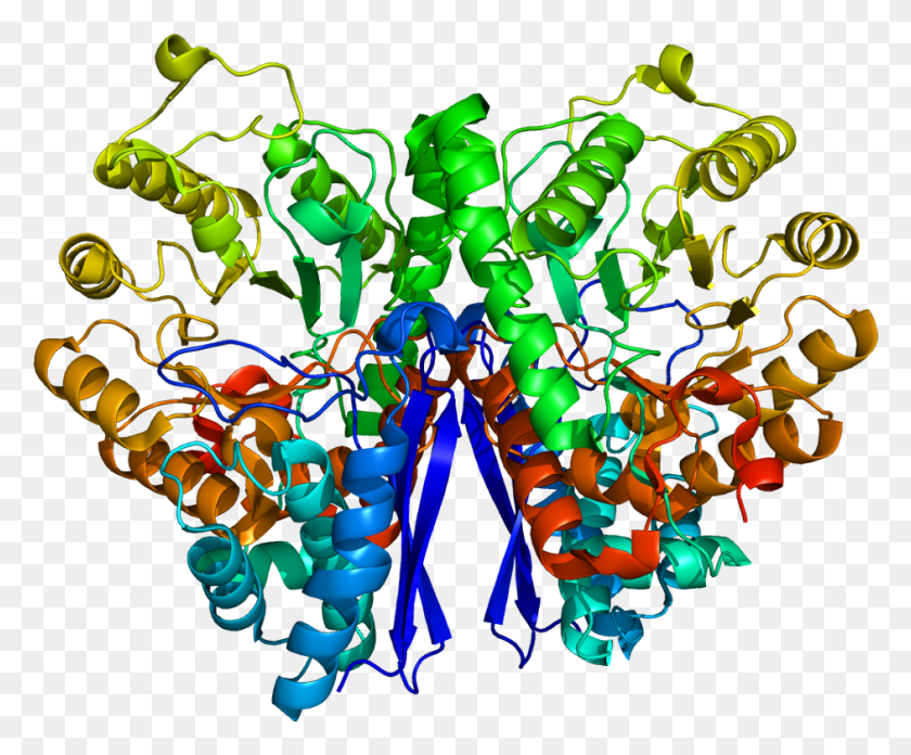 942x769 Protein Eno2 Pdb 1Te6 Nejronspecificheskaya Enolaza, Ornamento, Patrón, Fractal Hd Png