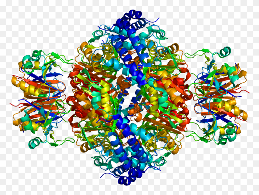 987x725 Protein Gchfr Pdb 1is7 Visual Arts, Graphics, Pattern HD PNG Download