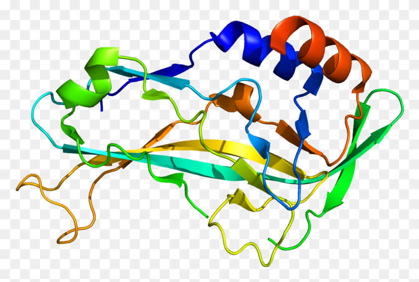 957x621 Descargar Png Protein Tbx5 Pdb 2X6U Tbx5 Gene, Graphics, Vecindario Hd Png