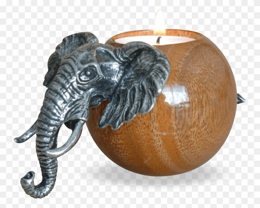 752x613 Proudly South African Gifts In Cape Town, Candle, Dinosaur, Reptile HD PNG Download