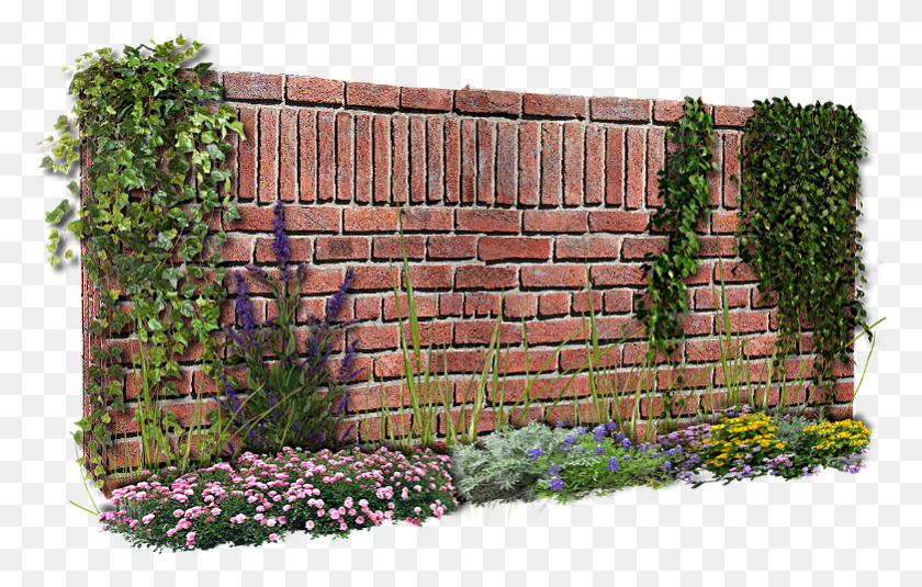 781x476 Psd, Brick, Wall, Plant HD PNG Download